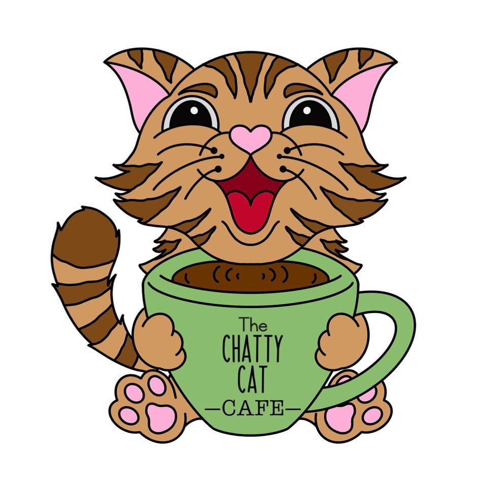 THE CHATTY CAT CAFE - now open Friday-Sunday | Colony Square Mall